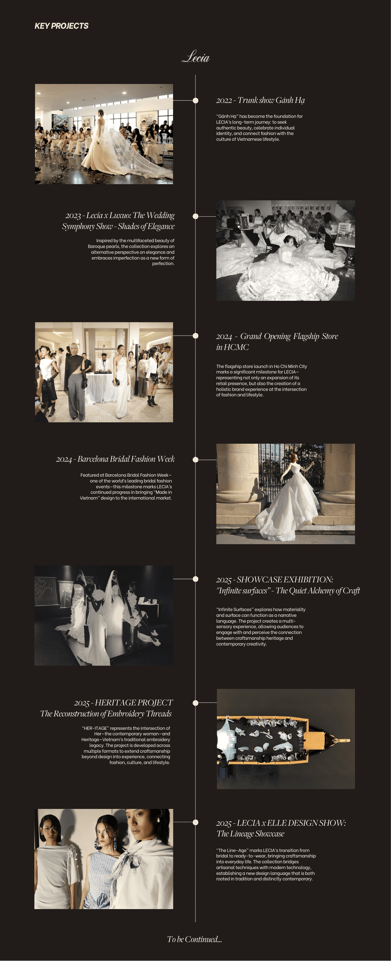 LECIA key projects timeline
