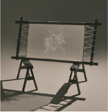 Living Embroidery Specimens exhibition at the Diem Phung Thi Art Center